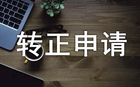 保安員轉正申請書（精選15篇）