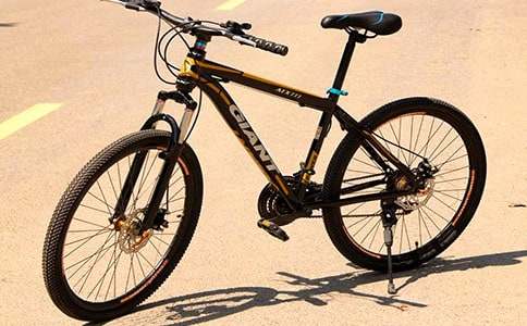 我學會了騎自行車作文500字（精選38篇）