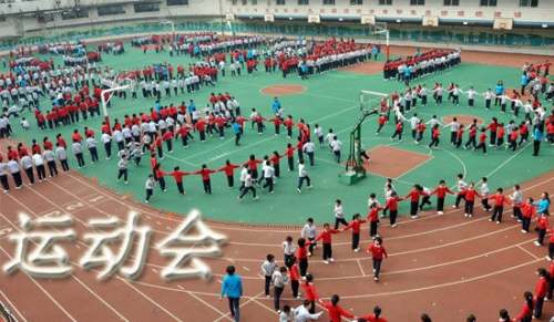 實用的五年級運動會作文300字21篇
