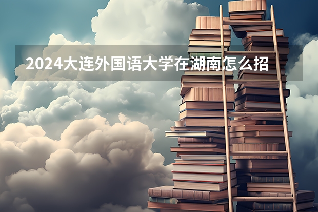 2024大連外國語大學在湖南怎么招生的