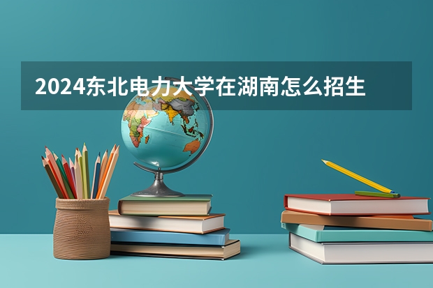 2024東北電力大學在湖南怎么招生的