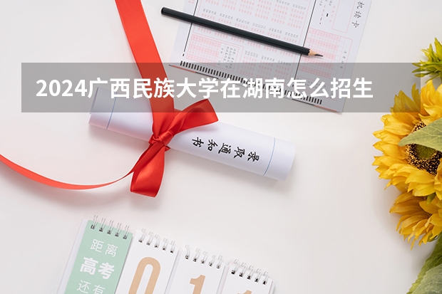 2024廣西民族大學在湖南怎么招生的