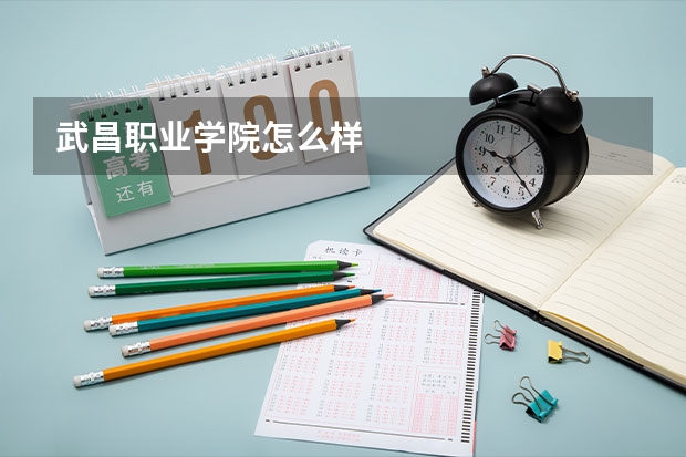 武昌職業學院怎么樣