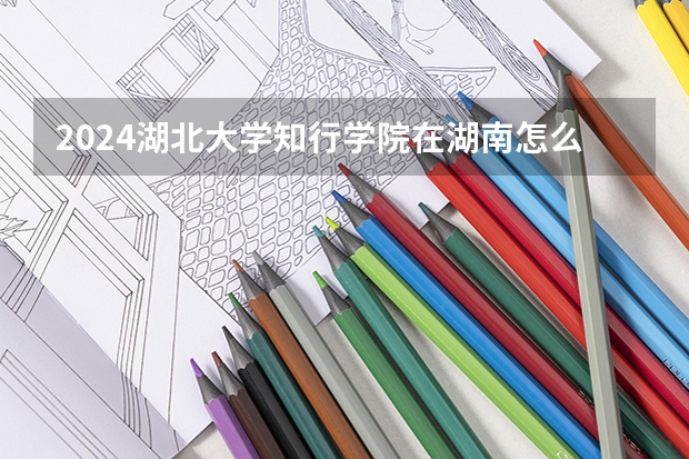 2024湖北大學知行學院在湖南怎么招生的