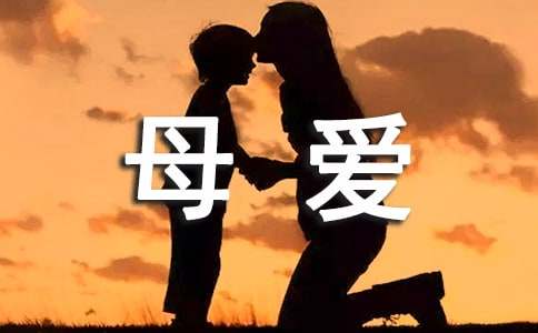 初中母愛優秀作文700字（通用23篇）