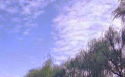 初中關于這里景色美作文600字（精選15篇）