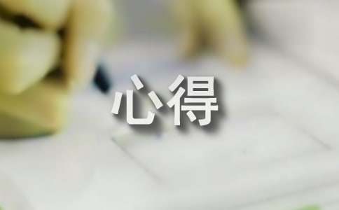 關于菲律賓旅游心得感想