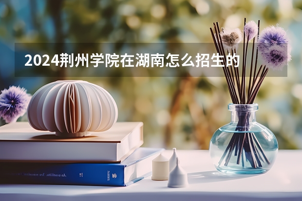 2024荊州學院在湖南怎么招生的