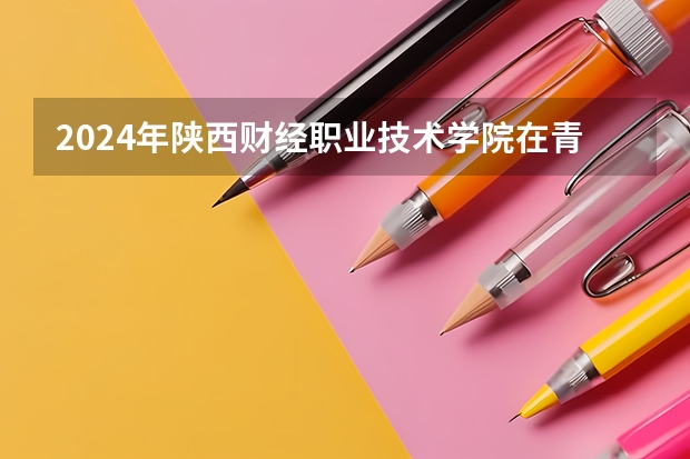 2024年陜西財經職業技術學院在青海招生情況