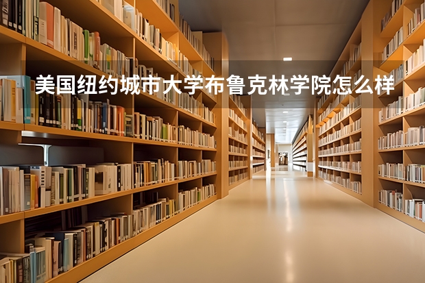 美國紐約城市大學布魯克林學院怎么樣，好不好