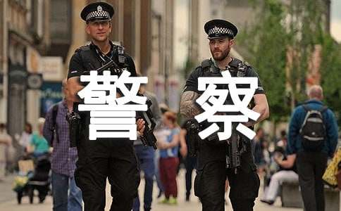 假如我是警察小學作文（精選23篇）