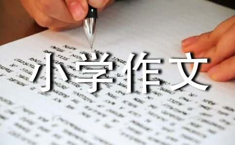 關于小學作文900字20篇