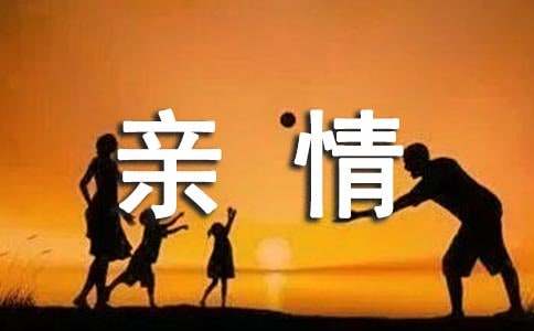 點滴親情,觸動我心作文范文900字（精選23篇）