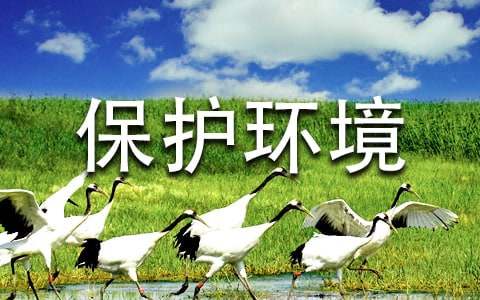精選建議保護環境的建議書范文12篇