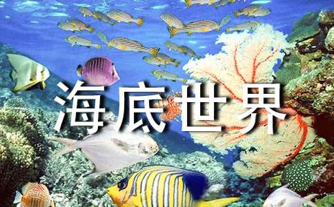 海底世界秋游作文（精選16篇）