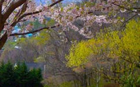 風(fēng)景的說(shuō)明文（精選43篇）