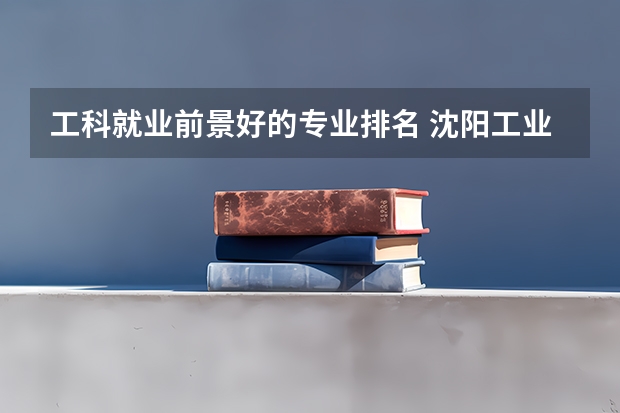 工科就業前景好的專業排名 沈陽工業大學文科專業排名？