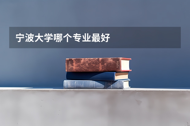 寧波大學哪個專業最好
