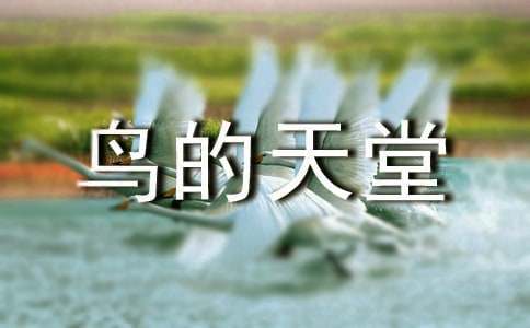 語文鳥的天堂教學(xué)反思15篇