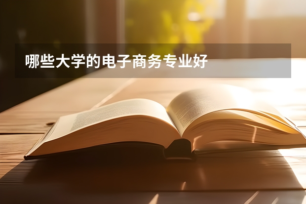 哪些大學(xué)的電子商務(wù)專業(yè)好