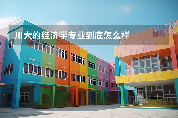 川大的經濟學專業到底怎么樣