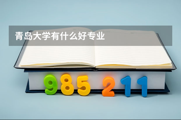 青島大學有什么好專業