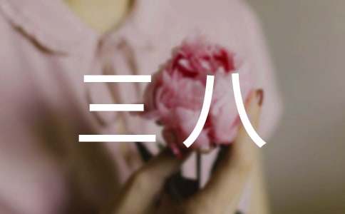 環衛三八紅旗手事跡材料