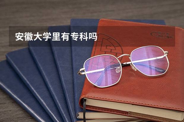 安徽大學里有專科嗎