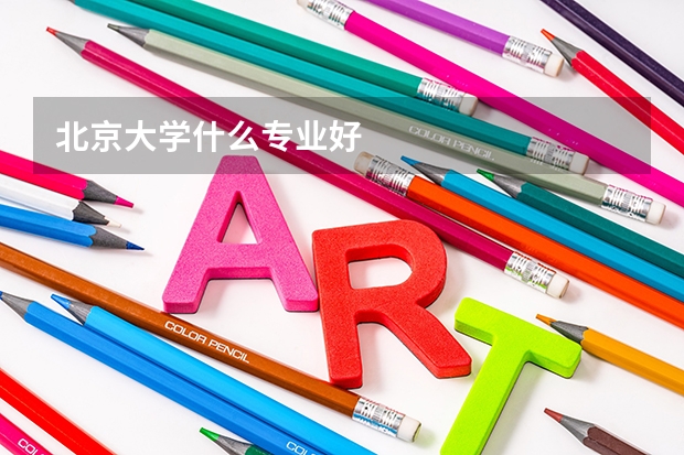 北京大學什么專業好