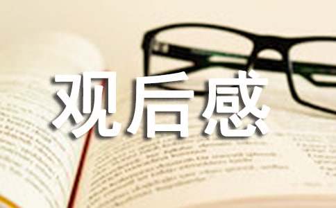 2025年《蛟龍行動》觀后感（精選10篇）