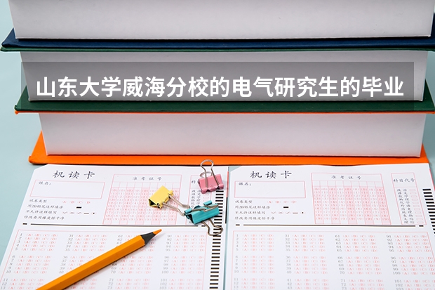 山東大學(xué)威海分校的電氣研究生的畢業(yè)證和學(xué)位證和山大本校有區(qū)別嗎