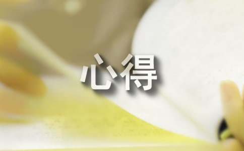 實訓(xùn)的感想心得