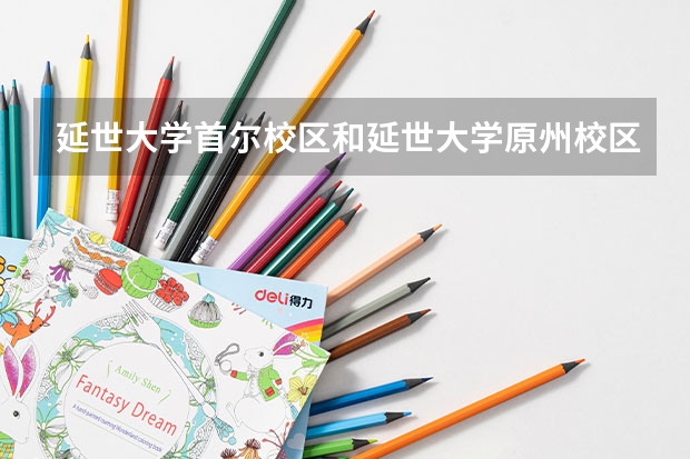 延世大學首爾校區和延世大學原州校區有什么不一樣嗎