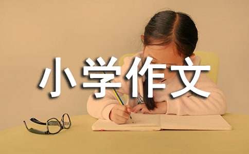 民風民俗小學作文9篇