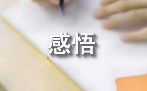 《哪吒2之魔童鬧海》觀后心得感悟（精選24篇）