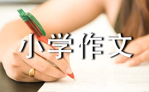 未來的書包小學作文(必備10篇)