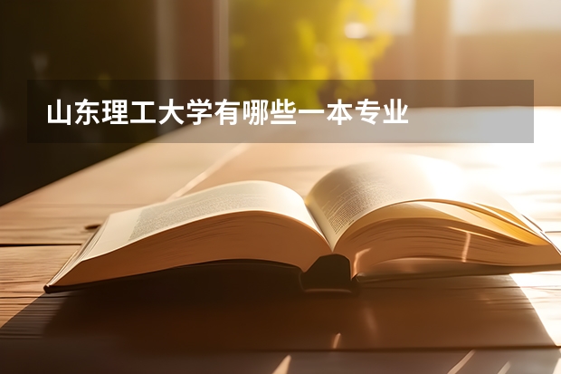 山東理工大學(xué)有哪些一本專業(yè)