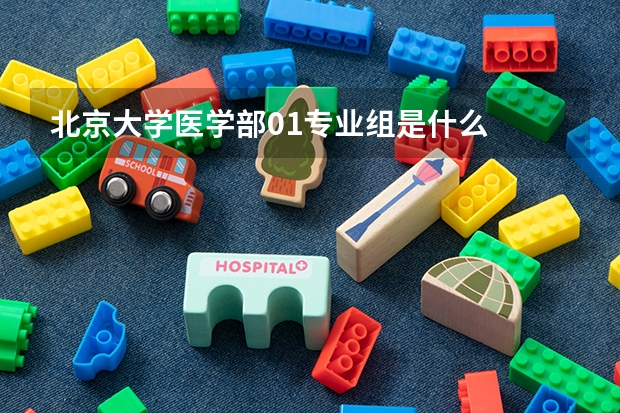 北京大學(xué)醫(yī)學(xué)部01專(zhuān)業(yè)組是什么