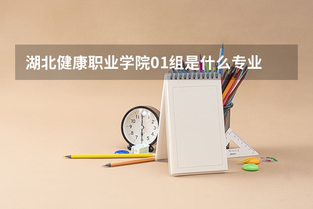 湖北健康職業學院01組是什么專業
