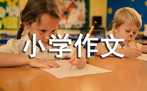 未來的家小學作文15篇