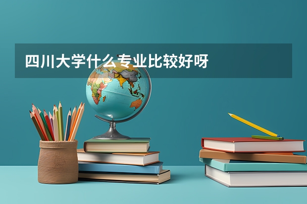四川大學什么專業比較好呀