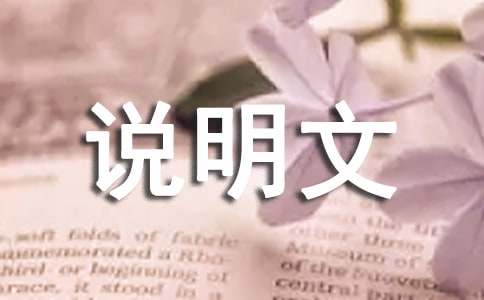 實(shí)用的事物說明文作文集合六篇