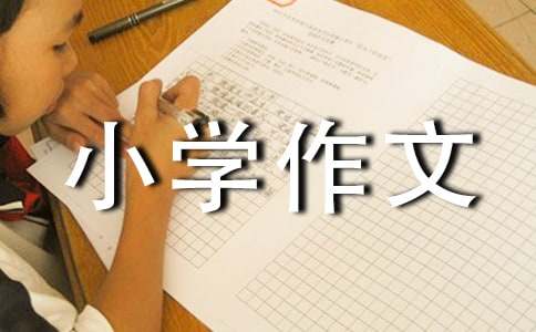 這樣的人讓我敬佩小學(xué)作文