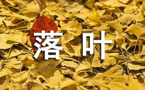 落葉高中作文(12篇)