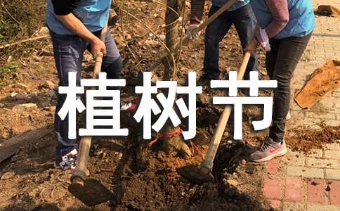 植樹節(jié)二年級(jí)作文