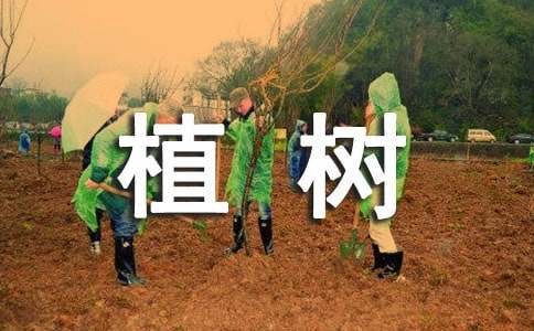 植樹與乘涼漫畫作文
