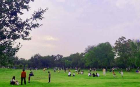 去公園玩小學生作文