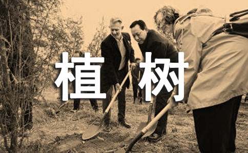 植樹二年級作文【錦集15篇】
