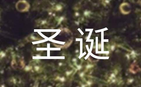 想象中的圣誕節作文