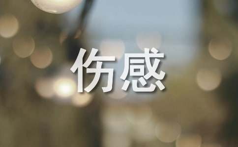 2025年傷感唯美的歌詞2條